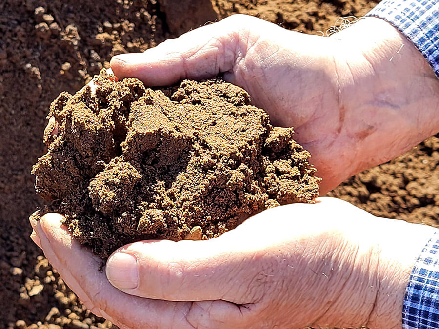 Premium quality organic soil mixes.